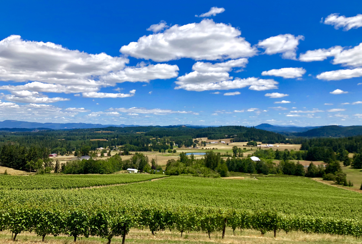 Dundee Hills wine country Oregon